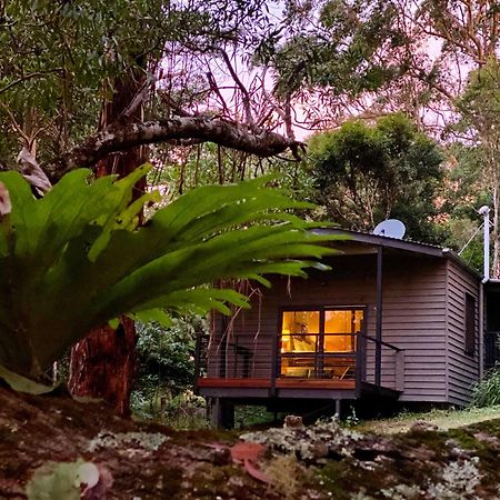 Whispering Valley Cottage Retreat ماليني المظهر الخارجي الصورة