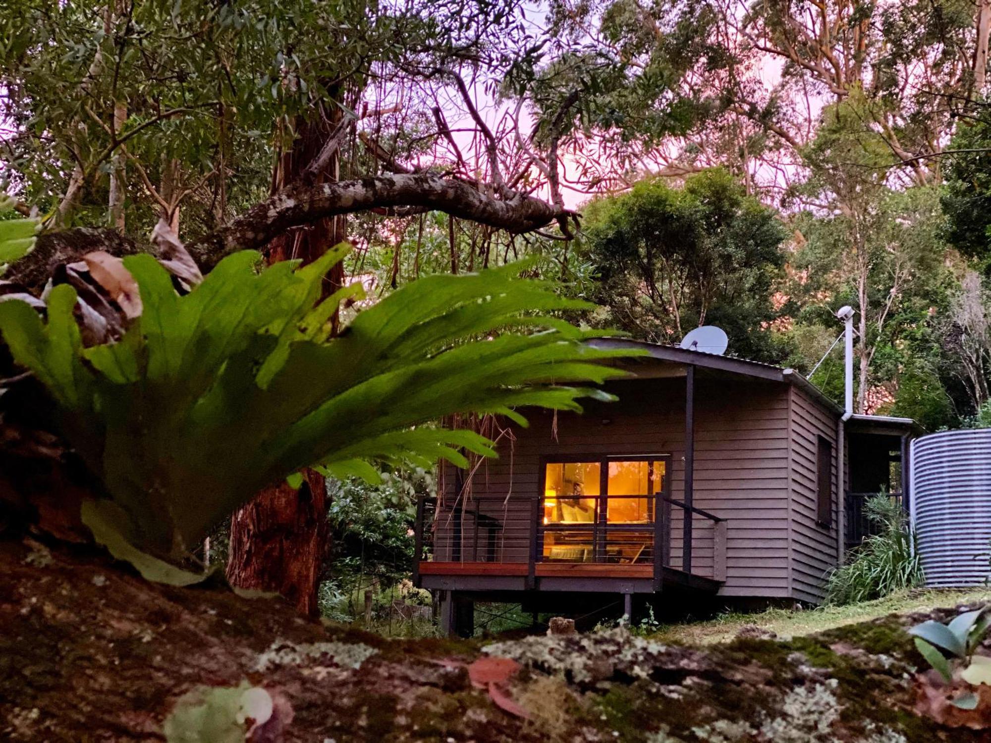 Whispering Valley Cottage Retreat ماليني المظهر الخارجي الصورة