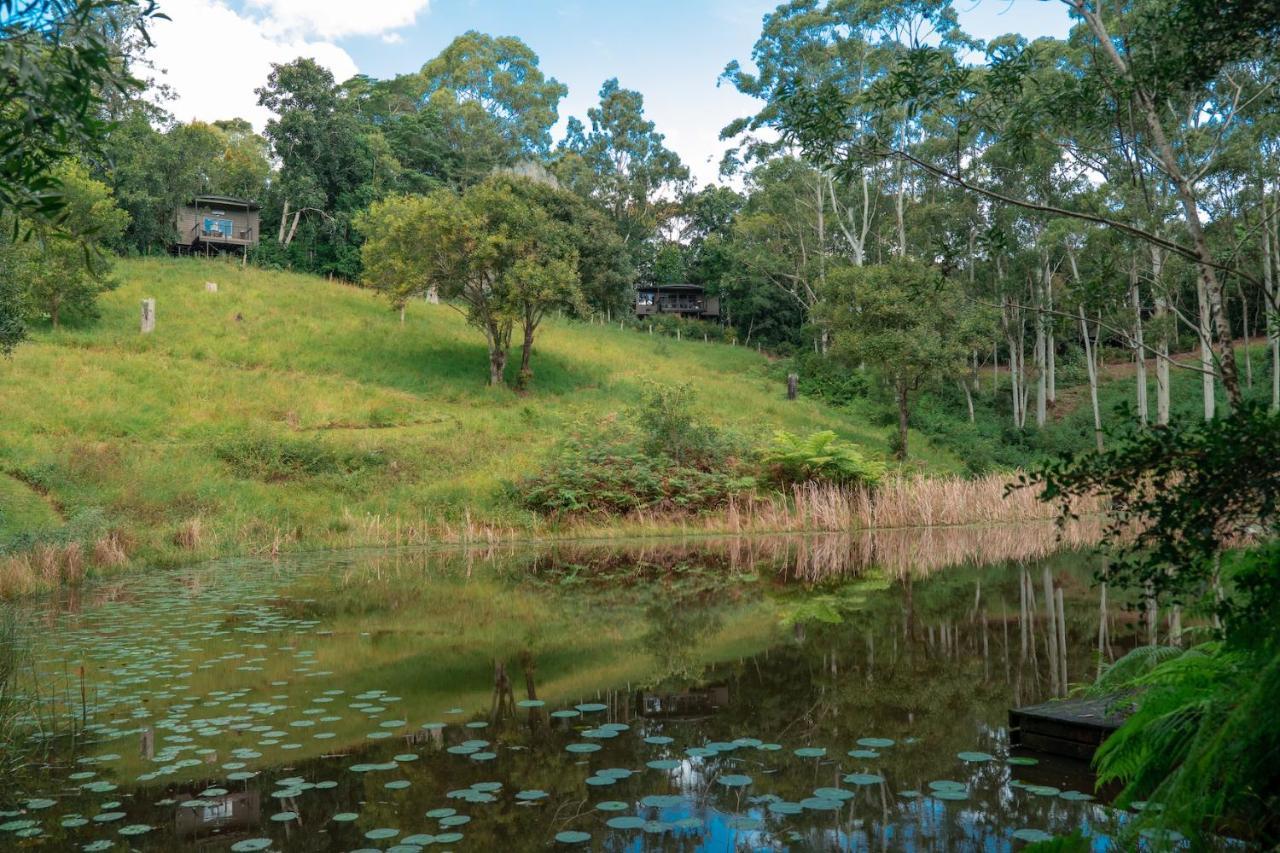 Whispering Valley Cottage Retreat ماليني المظهر الخارجي الصورة