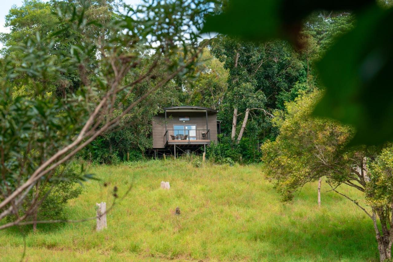 Whispering Valley Cottage Retreat ماليني المظهر الخارجي الصورة