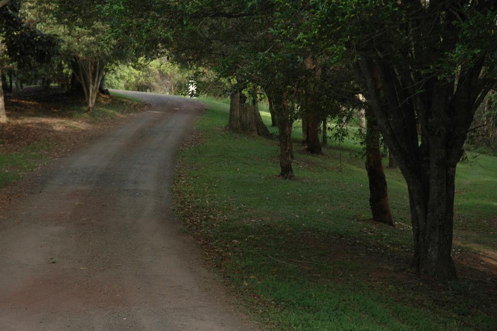 Whispering Valley Cottage Retreat ماليني المظهر الخارجي الصورة