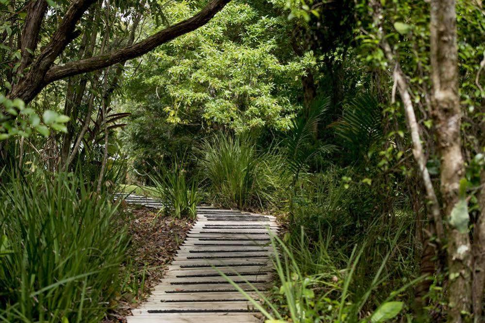 Whispering Valley Cottage Retreat ماليني المظهر الخارجي الصورة