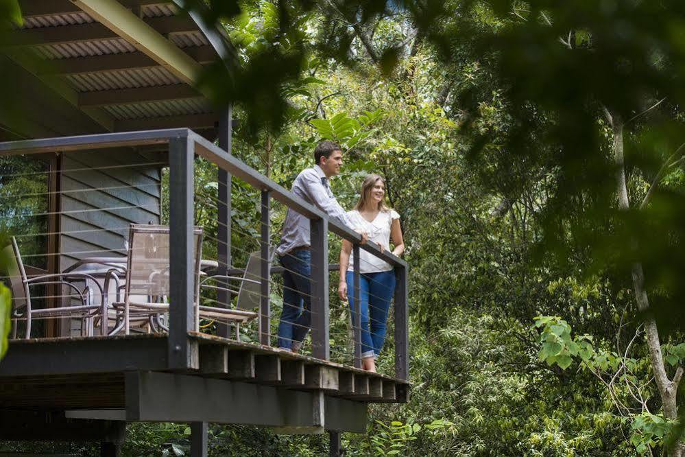 Whispering Valley Cottage Retreat ماليني المظهر الخارجي الصورة