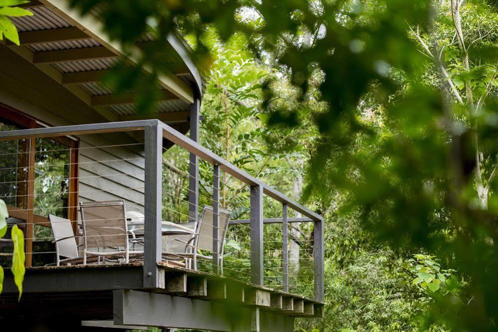 Whispering Valley Cottage Retreat ماليني المظهر الخارجي الصورة